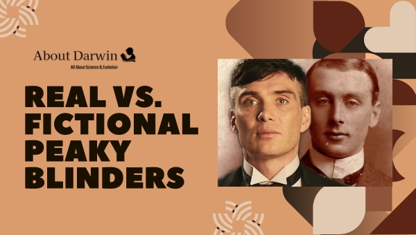 Real Vs. Fictional Peaky Blinders