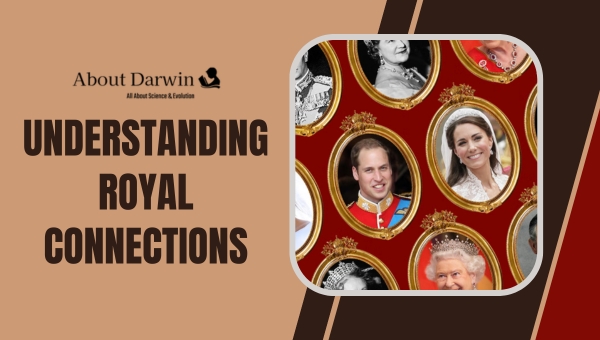 Understanding Royal Connections