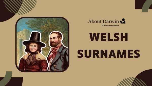 Welsh Surnames