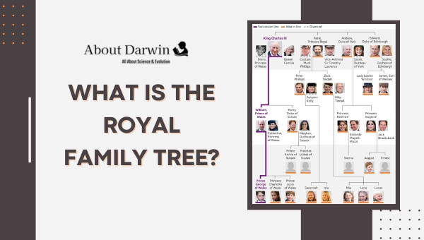 What Is the Royal Family Tree?