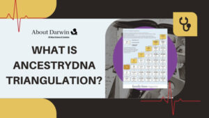 What Is AncestryDNA Triangulation?