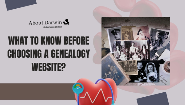 What to Know Before Choosing a Genealogy Website?