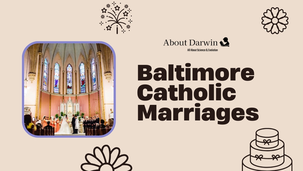 Baltimore Catholic Marriages