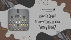 How to Count Generations in Your Family Tree?