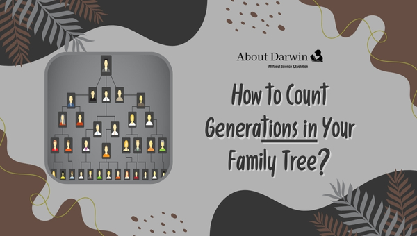 How to Count Generations in Your Family Tree?