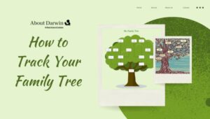 How to Track Your Family Tree