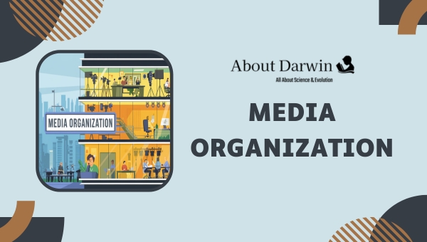 Media Organization