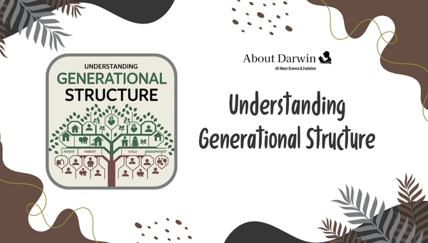 Understanding Generational Structure