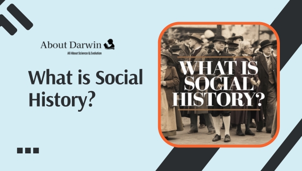 What is Social History?