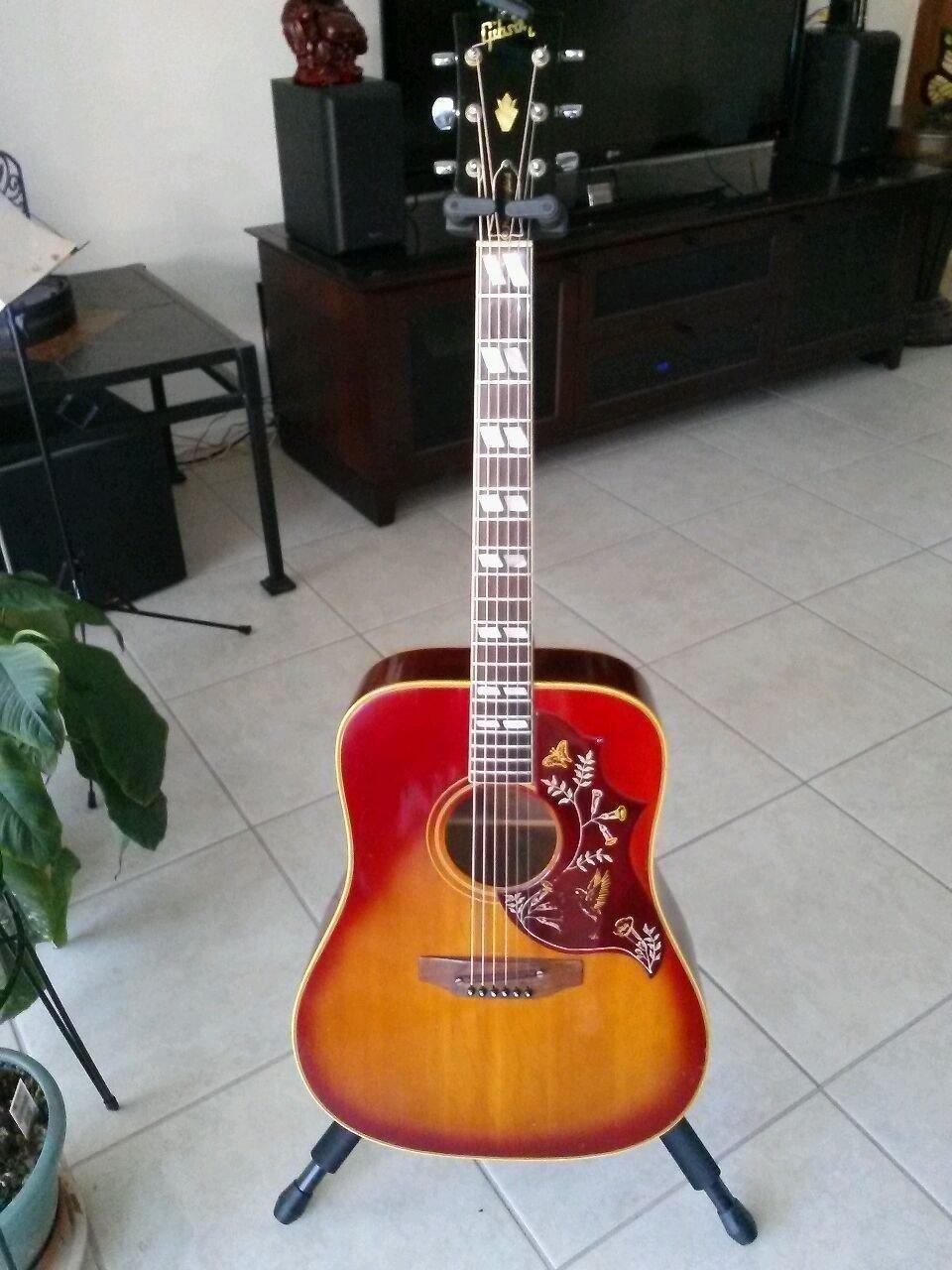 D'Addario Guitar Humidifier - Acoustic Guitar Soundhole Humidifier with Sponge - Non Drip - Suspends from Strings - Customer Photo 1