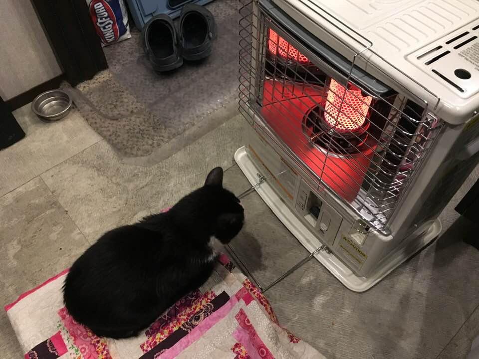 Sengoku Indoor & Outdoor Kerosene Heater, 10,000 BTU, Portable Use, HeatMate, White - Cordless Space Heating Machine for Home, Garage, Basement, and Camping - Customer Photo 1