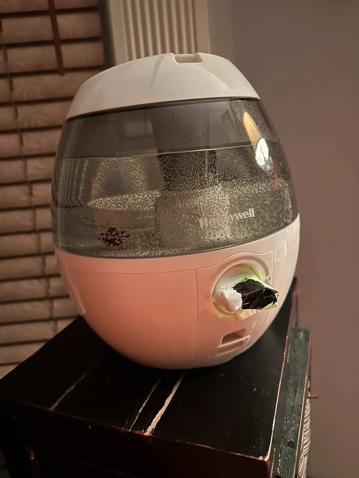 Honeywell HUL520B Mistmate Cool Mist Humidifier Black With Easy Fill Tank & Auto Shut-Off, For Small Room, Bedroom, Baby Room, Office Customer Review Honeywell HUL520B Mistmate Cool Mist Humidifier Black With Easy Fill Tank & Auto Shut-Off, For Small Room, Bedroom, Baby Room, Office - Customer Photo 2