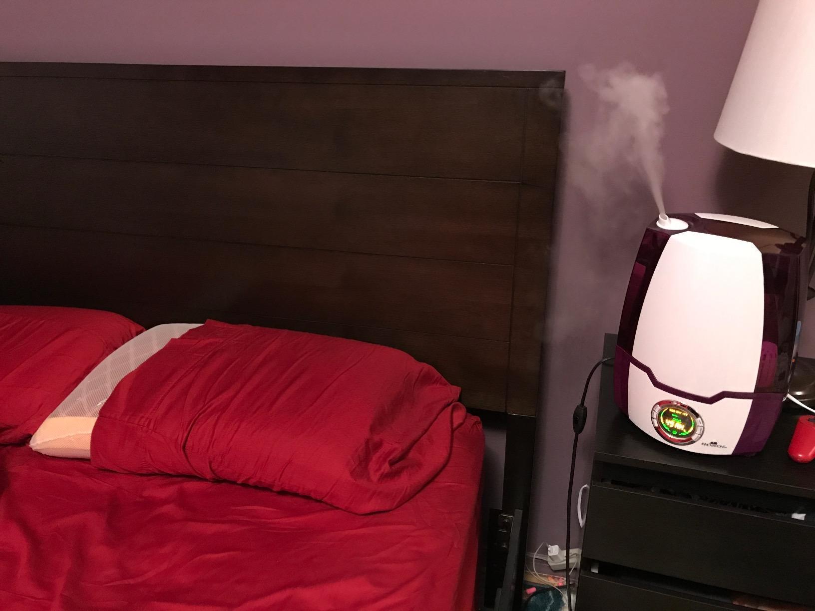 Air Innovations Humidifiers for Bedroom Huge 6.2L Tank Runs for 70 Hours for Large Room up to 400 Sq Ft Cool Mist Humidifier 360 Degree Rotating Nozzle Ideal for Baby Room and Plants MH-505A Gray Customer Review Air Innovations Humidifiers for Bedroom Huge 6.2L Tank Runs for 70 Hours for Large Room up to 400 Sq Ft Cool Mist Humidifier 360 Degree Rotating Nozzle Ideal for Baby Room and Plants MH-505A Gray - Customer Photo 4