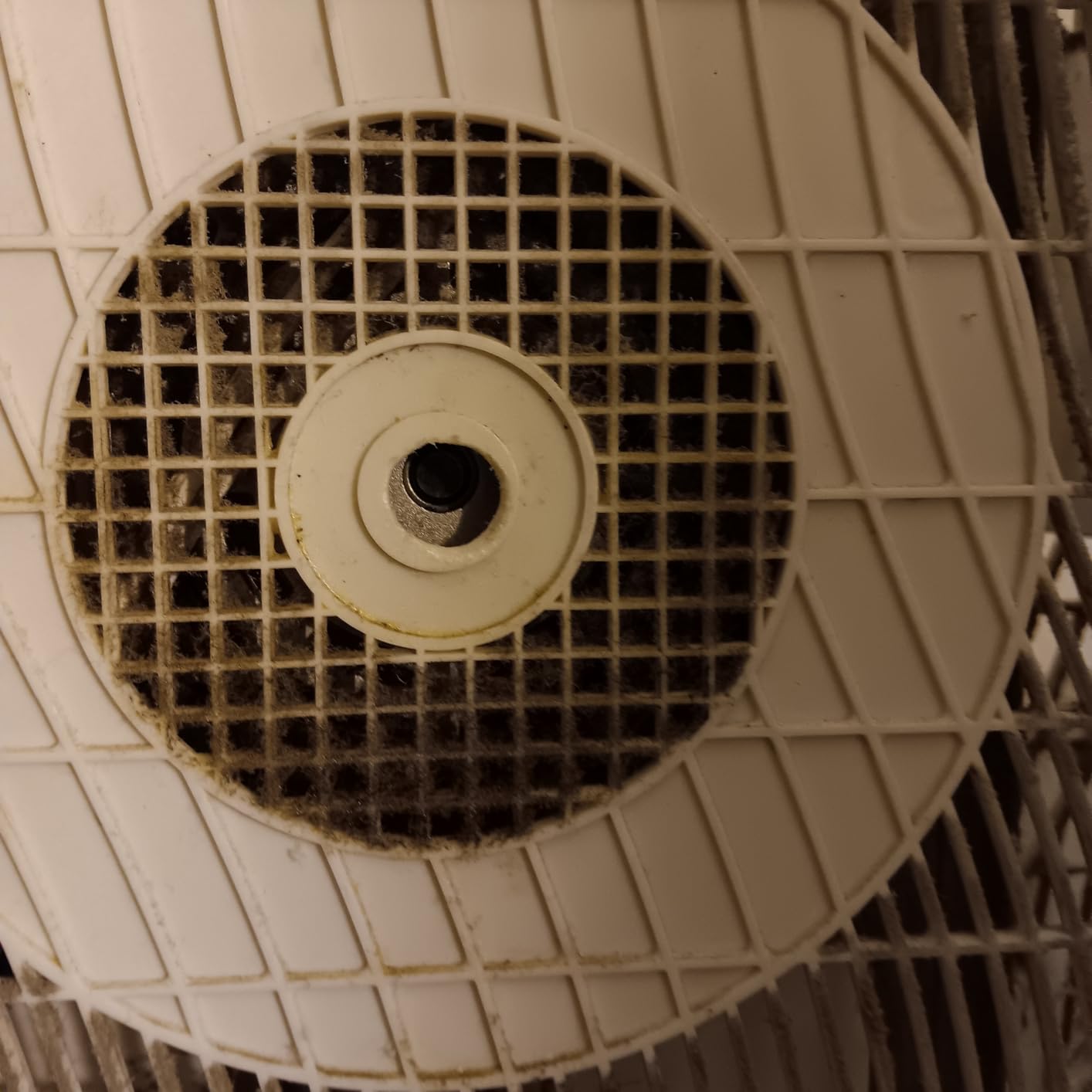 Comfort Zone Box Fan with Carry Handle, 20 inch, 3 Speed Full-Force Air Circulation Window Fan, Bedroom Floor Fan with 5 Blades Customer Review Comfort Zone Box Fan with Carry Handle, 20 inch, 3 Speed Full-Force Air Circulation Window Fan, Bedroom Floor Fan with 5 Blades - Customer Photo 1