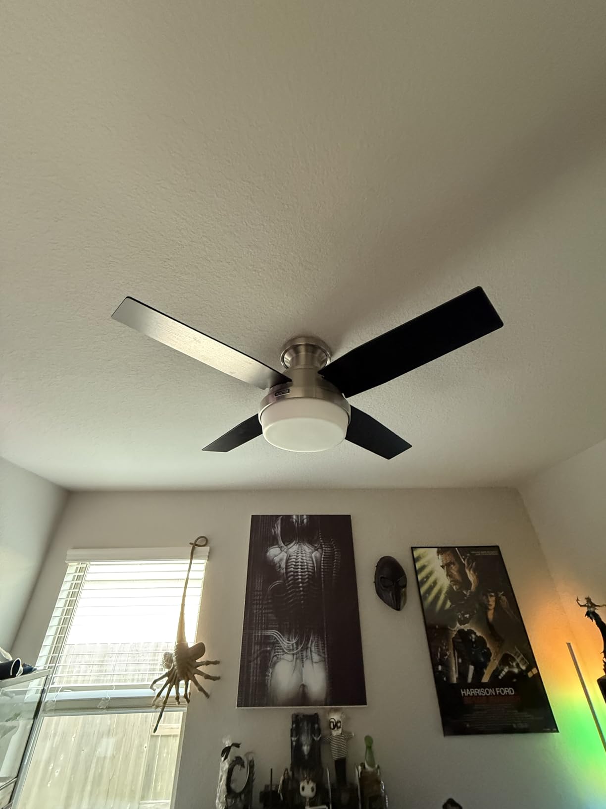 Hunter 44 inch Indoor Ceiling Fan with LED Light and Remote Control - White Modern Ceiling Fan, Low Profile Mount, 4 Blades, For Bedroom, Living Room, or Kitchen, Quiet - Dempsey 59244, Fresh White - Customer Photo 2