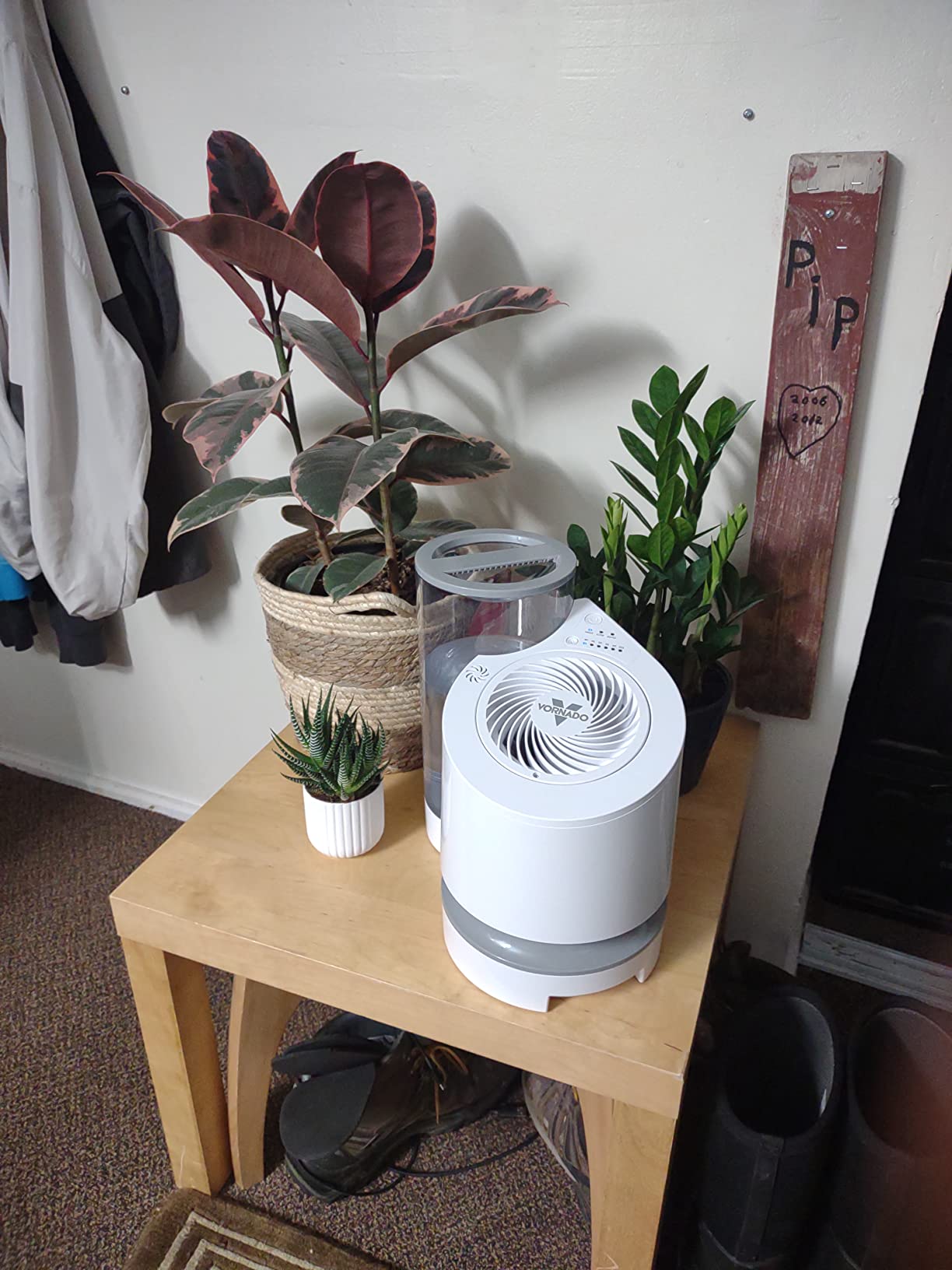 Vornado EV100 Evaporative Whole Room Humidifier with SimpleTank, 1 Gallon Capacity, White - Customer Photo 1