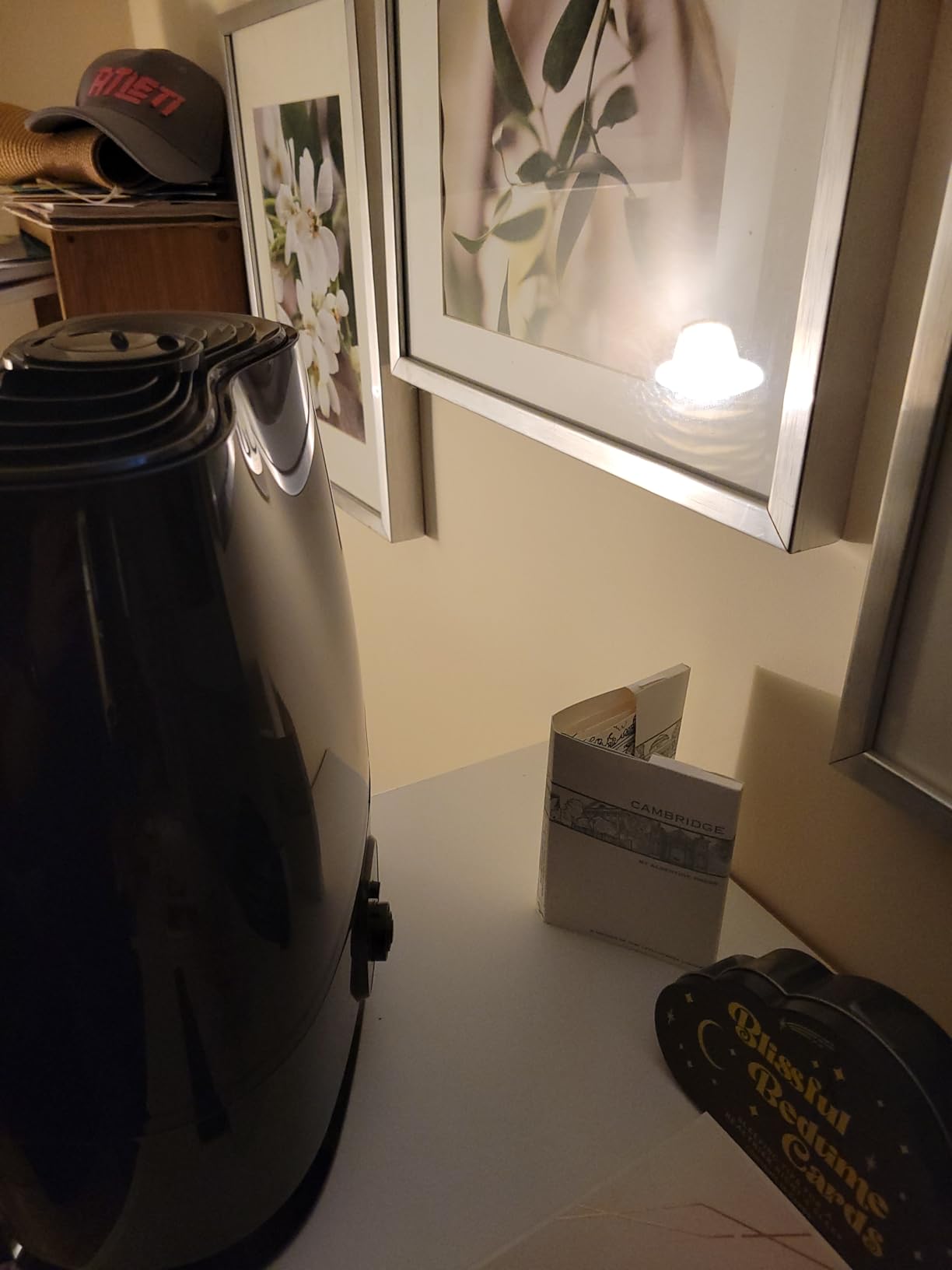 Everlasting Comfort 6L Humidifiers for Bedroom, Quiet 50HR Runtime Top Fill Supersized Cool Mist Humidifier Large Room Indoor, Whole House Air Humidifier for Plants, Baby Nursery, Allergies, Dry Skin - Customer Photo 2