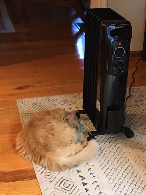 Amazon Basics Portable Oil Radiator Heater for Indoor Use, 3 Heat Settings, Over-Heat Protection, ETL-certified Safety, 7 Oil-Filled Steel Fins, 1500W, 11