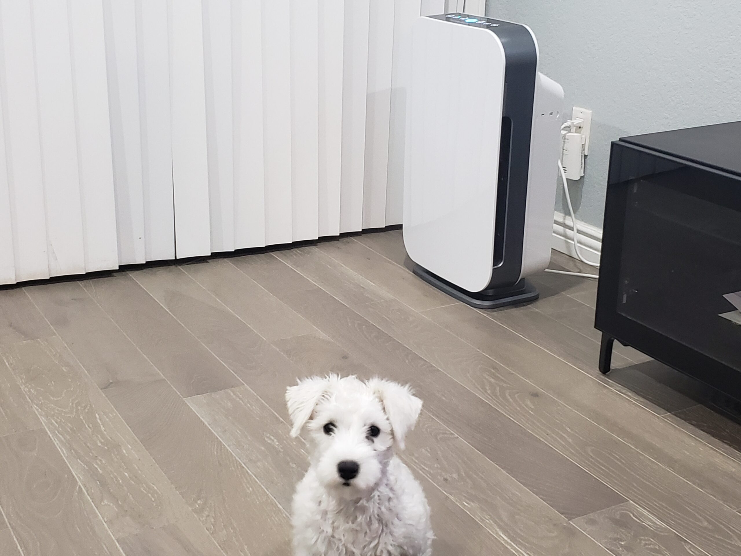 Alen Air Purifier BreatheSmart 45i HEPA with Pure Filter for Large Rooms up to 1600 Sq. Ft. - Perfect for Bedrooms - Captures Allergens, Dust, & Mold Customer Review Alen Air Purifier BreatheSmart 45i HEPA with Pure Filter for Large Rooms up to 1600 Sq. Ft. - Perfect for Bedrooms - Captures Allergens, Dust, & Mold - Customer Photo 1