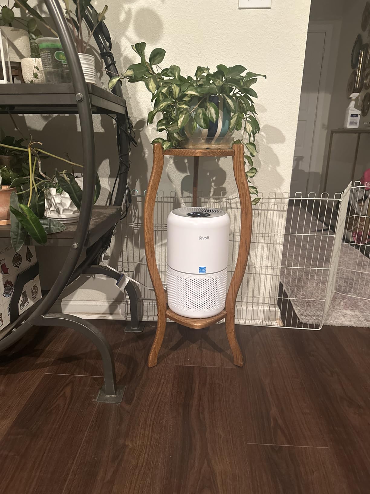LEVOIT Air Purifier for Home Allergies Pet Hair in Bedroom, Covers Up to 1073 ft² by 56W High Torque Motor, AHAM VERIFIDE, 3-in-1 Filter with HEPA Sleep Mode, Remove Dust Smoke Odor, Core300-P, White - Customer Photo 2
