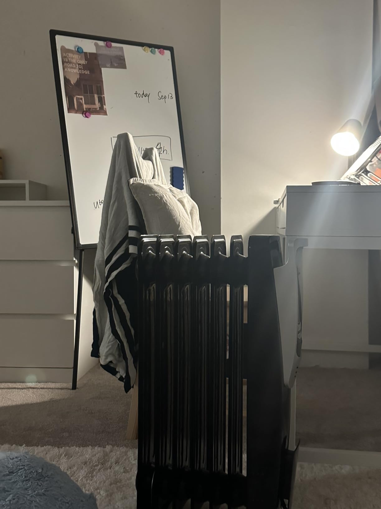 PELONIS Champagne Oil Filled Radiator Heater with Remote and Thermostat, 5 Temperature Settings for indoor use Large Room, Energy Efficient Electric Space heater with Safety Features - Customer Photo 1