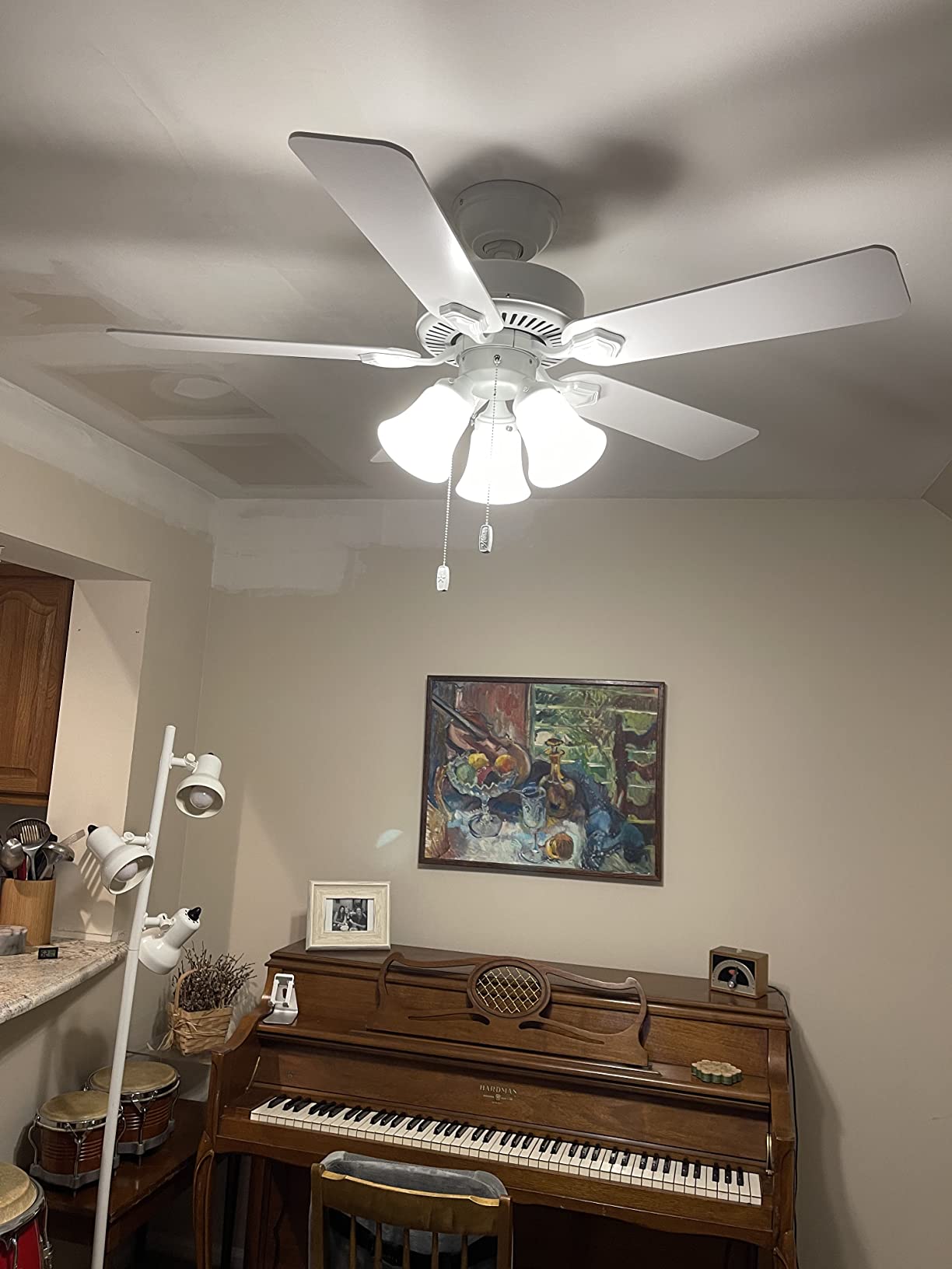 Hunter 44 inch Indoor Ceiling Fan with LED Lights - White Ceiling Fan with Pull Chain, For Bedroom, Living Room, or Kitchen, Standard Mount, No Remote, 5 Blades - Swanson 50885, Fresh White Customer Review Hunter 44 inch Indoor Ceiling Fan with LED Lights - White Ceiling Fan with Pull Chain, For Bedroom, Living Room, or Kitchen, Standard Mount, No Remote, 5 Blades - Swanson 50885, Fresh White - Customer Photo 1