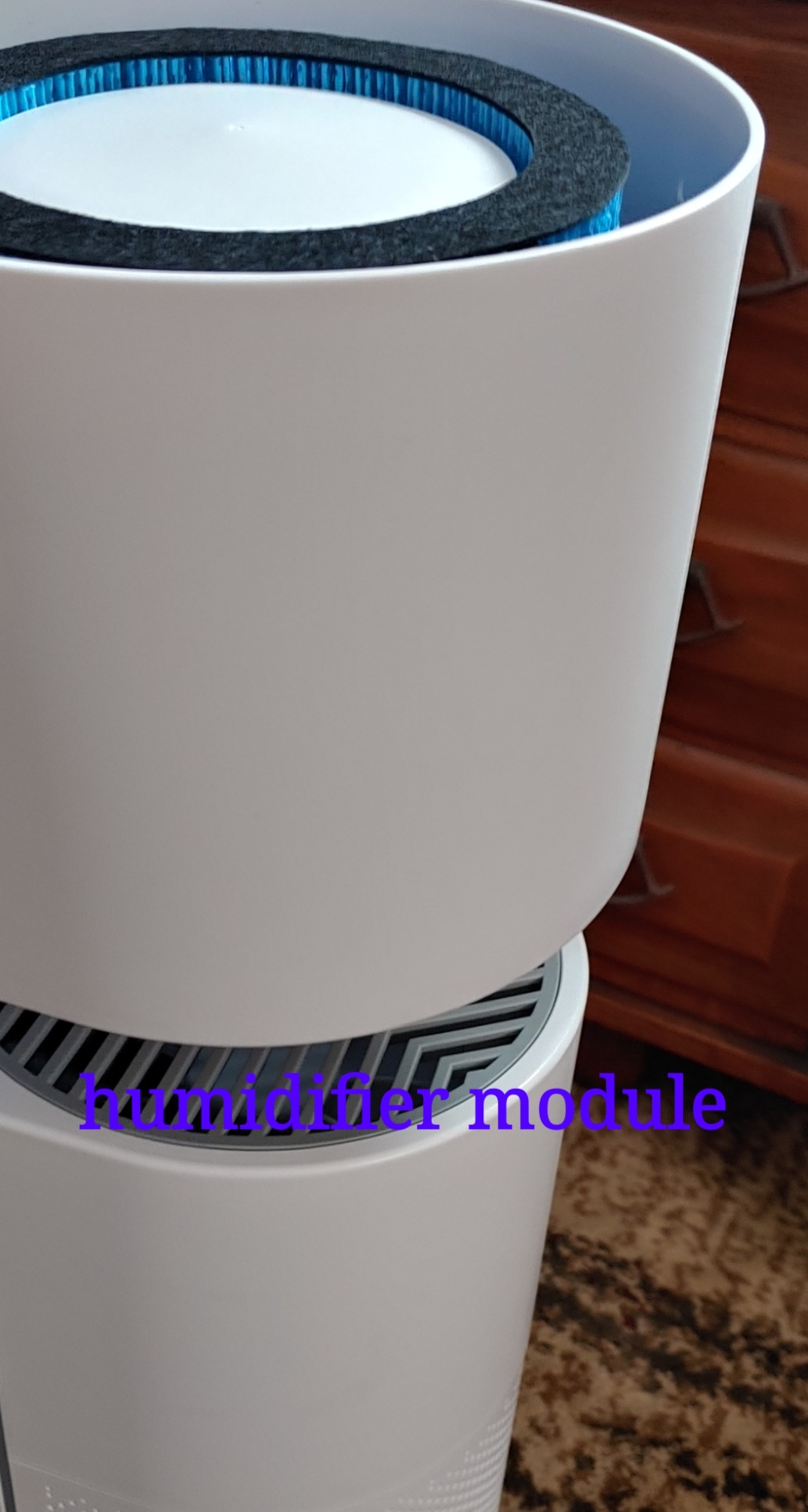 Afloia 2 IN 1 Air Purifier with Humidifier Combo, 3-Stage Filters for Home Allergies Pets Hair Smoker Odors, Evaporative Humidifier, Auto Shut Off, Quiet Air Cleaner with Seven Color Light,White - Customer Photo 2