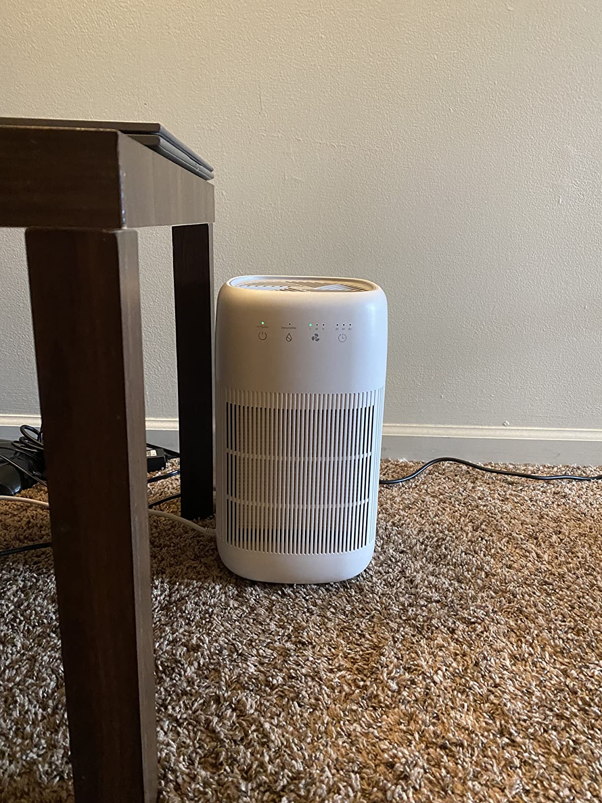 Afloia Air Purifier and Dehumidifier in 1, Air Purifier with Efficient Filter, Small Dehumidifier Combined with Air Cleaner, Remove Pet Odors Dust Smoke for Home, Bedroom, Bathroom - Customer Photo 5