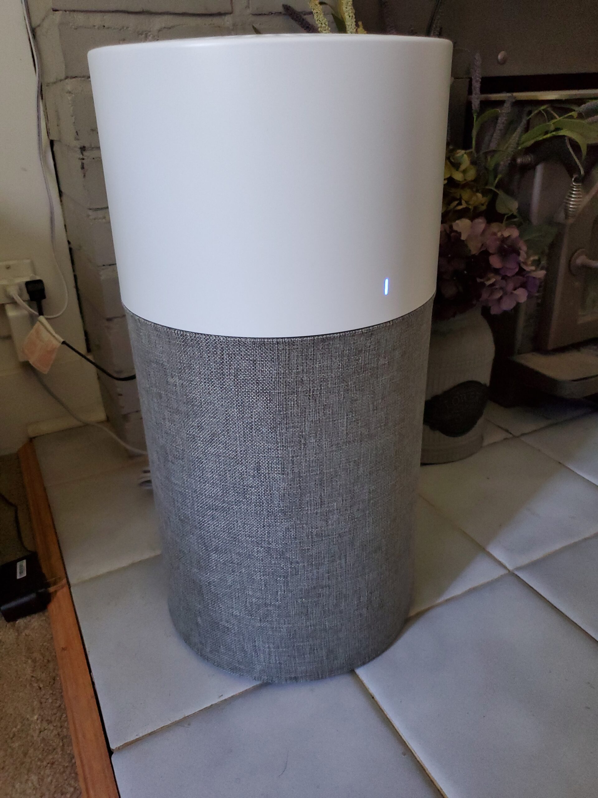 BLUEAIR Air Purifier Large Room, Air Cleaner for Dust Pet Dander Smoke Mold Pollen Bacteria Virus Allergen, Odor Removal, for Home Bedroom Living Room, Washable Pre Filter, HEPASilent, Blue 211+ Auto Customer Review BLUEAIR Air Purifier Large Room, Air Cleaner for Dust Pet Dander Smoke Mold Pollen Bacteria Virus Allergen, Odor Removal, for Home Bedroom Living Room, Washable Pre Filter, HEPASilent, Blue 211+ Auto - Customer Photo 1