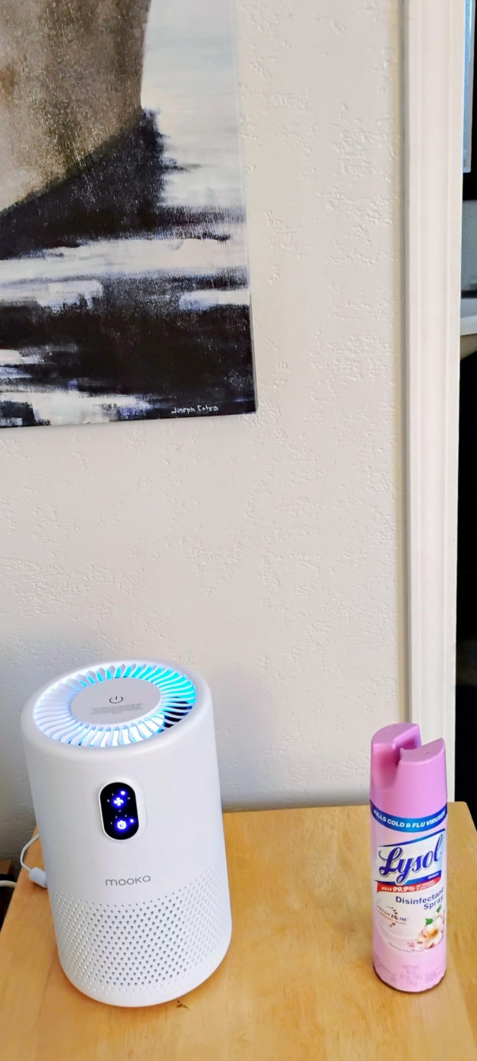 MOOKA Air Purifiers for Home Large Room up to 1076 ft², H13 True HEPA Air Filter Cleaner, Odor Eliminator, Remove Smoke Dust Pollen Pet Dander, Night Light(Available for California) Customer Review MOOKA Air Purifiers for Home Large Room up to 1076 ft², H13 True HEPA Air Filter Cleaner, Odor Eliminator, Remove Smoke Dust Pollen Pet Dander, Night Light(Available for California) - Customer Photo 1