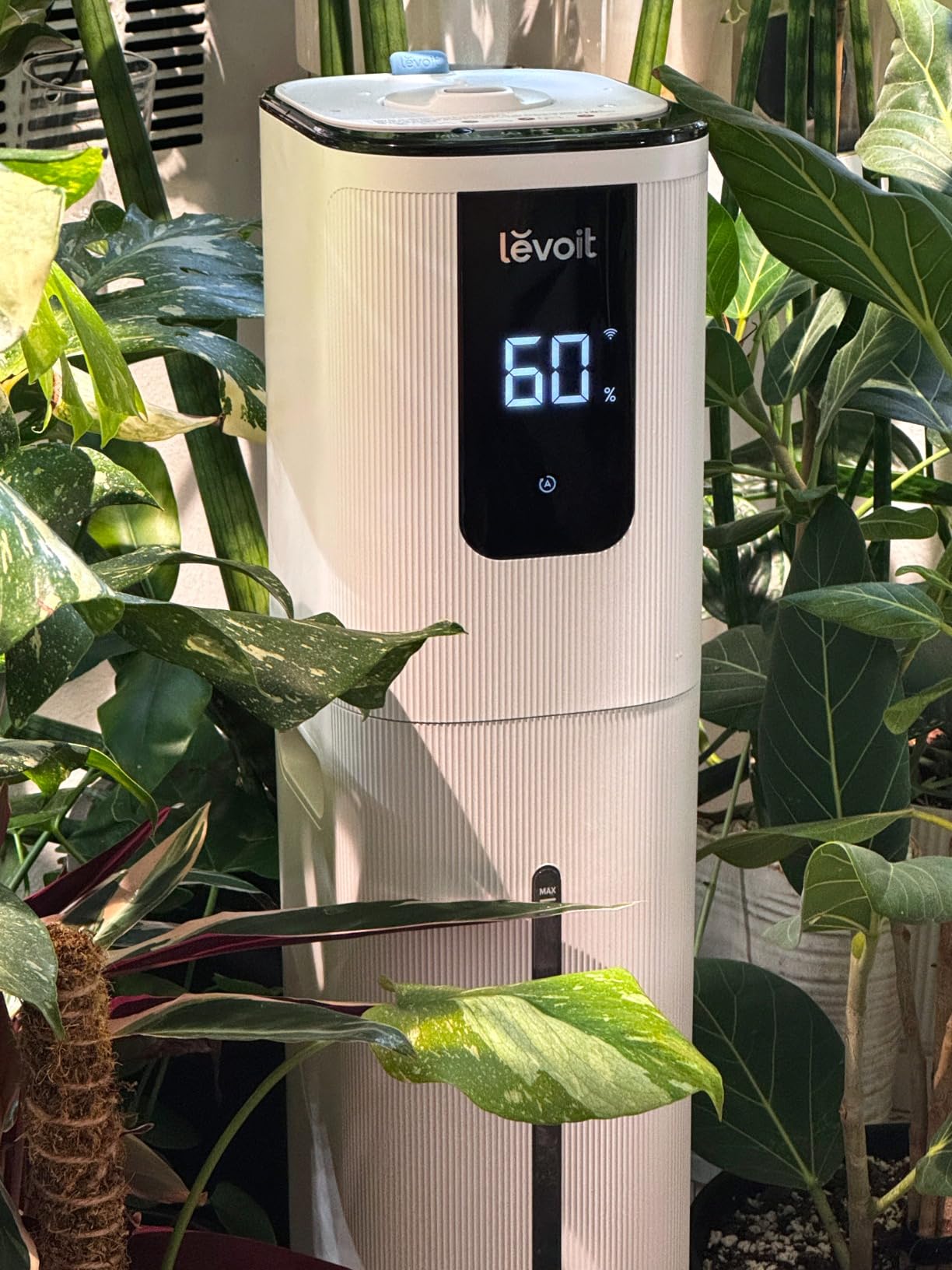 LEVOIT LV600S Smart Warm and Cool Mist Humidifiers for Home Bedroom Large Room, (6L) 753ft² Coverage, Quickly & Evenly Humidify Whole House, Easy Top Fill, App & Voice Control - Quiet Sleep Mode Customer Review LEVOIT LV600S Smart Warm and Cool Mist Humidifiers for Home Bedroom Large Room, (6L) 753ft² Coverage, Quickly & Evenly Humidify Whole House, Easy Top Fill, App & Voice Control - Quiet Sleep Mode - Customer Photo 1