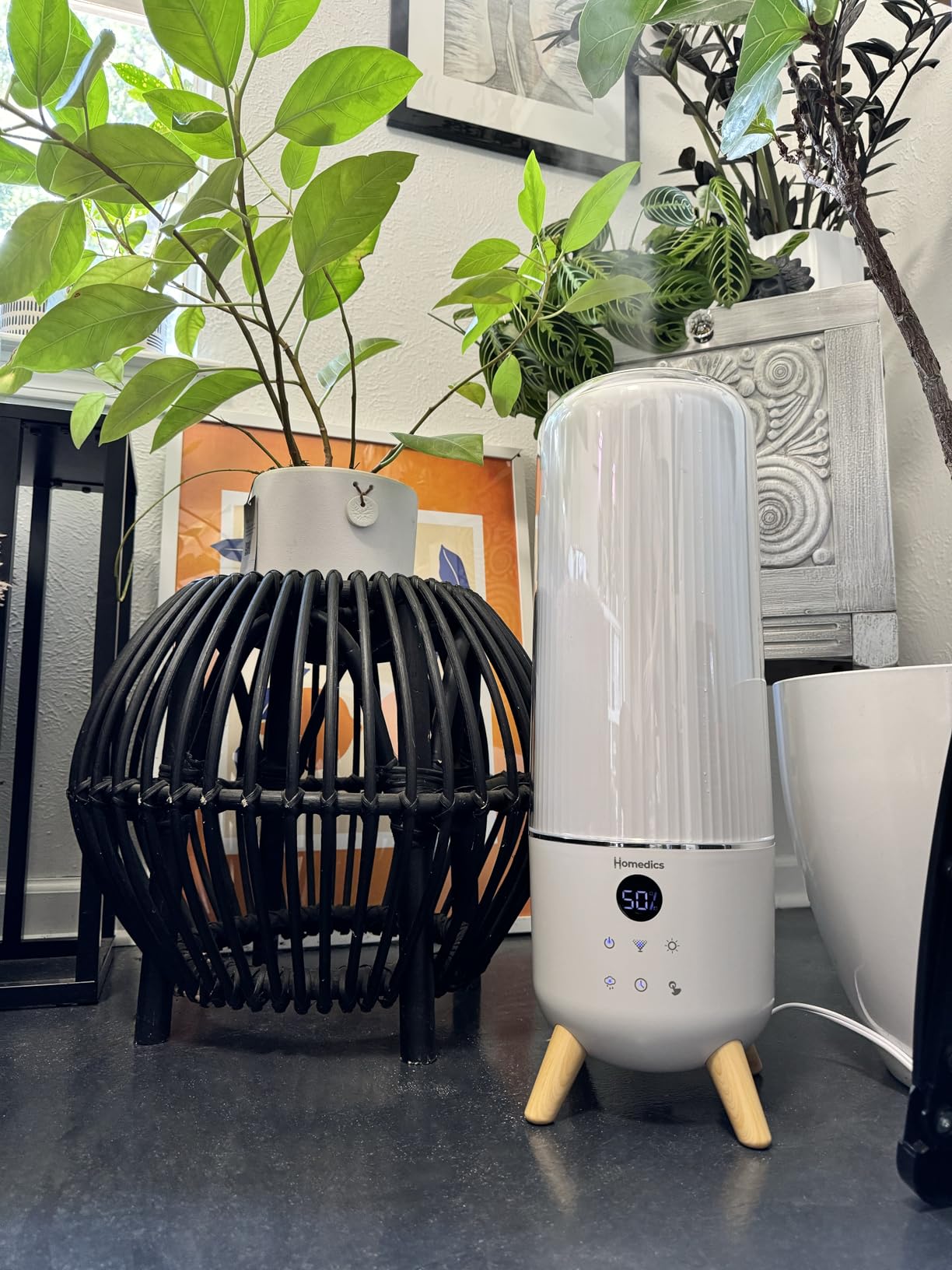Best Homedics Humidifiers 2026: Expert Reviews & Comparisons