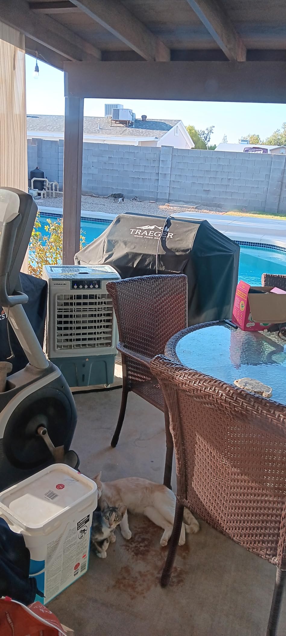 VAGKRI Swamp Cooler, 2100CFM Evaporative Air Cooler with 3 Modes & Wind Speeds, 120°Oscillation, 24H Timer, Portable Outdoor Air Conditioner with Auto Fill for Patio Garage Commercial Use, 8 Gallon Customer Review VAGKRI Swamp Cooler, 2100CFM Evaporative Air Cooler with 3 Modes & Wind Speeds, 120°Oscillation, 24H Timer, Portable Outdoor Air Conditioner with Auto Fill for Patio Garage Commercial Use, 8 Gallon - Customer Photo 1