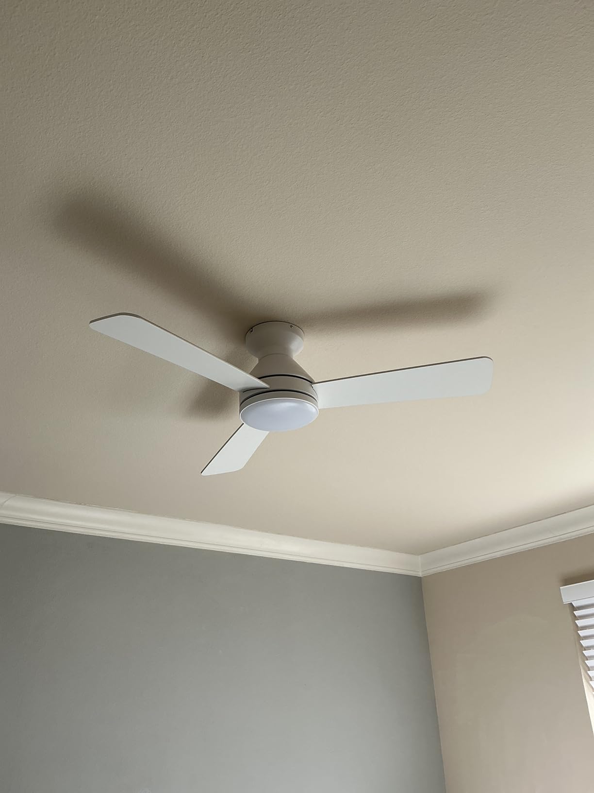 Amico Ceiling Fans with Lights, 42 inch Low Profile Ceiling Fan with Light and Remote Control, Flush Mount, Reversible, 3CCT, Dimmable, Noiseless, Black Ceiling Fan for Bedroom, Indoor/Outdoor Use Customer Review Amico Ceiling Fans with Lights, 42 inch Low Profile Ceiling Fan with Light and Remote Control, Flush Mount, Reversible, 3CCT, Dimmable, Noiseless, Black Ceiling Fan for Bedroom, Indoor/Outdoor Use - Customer Photo 1