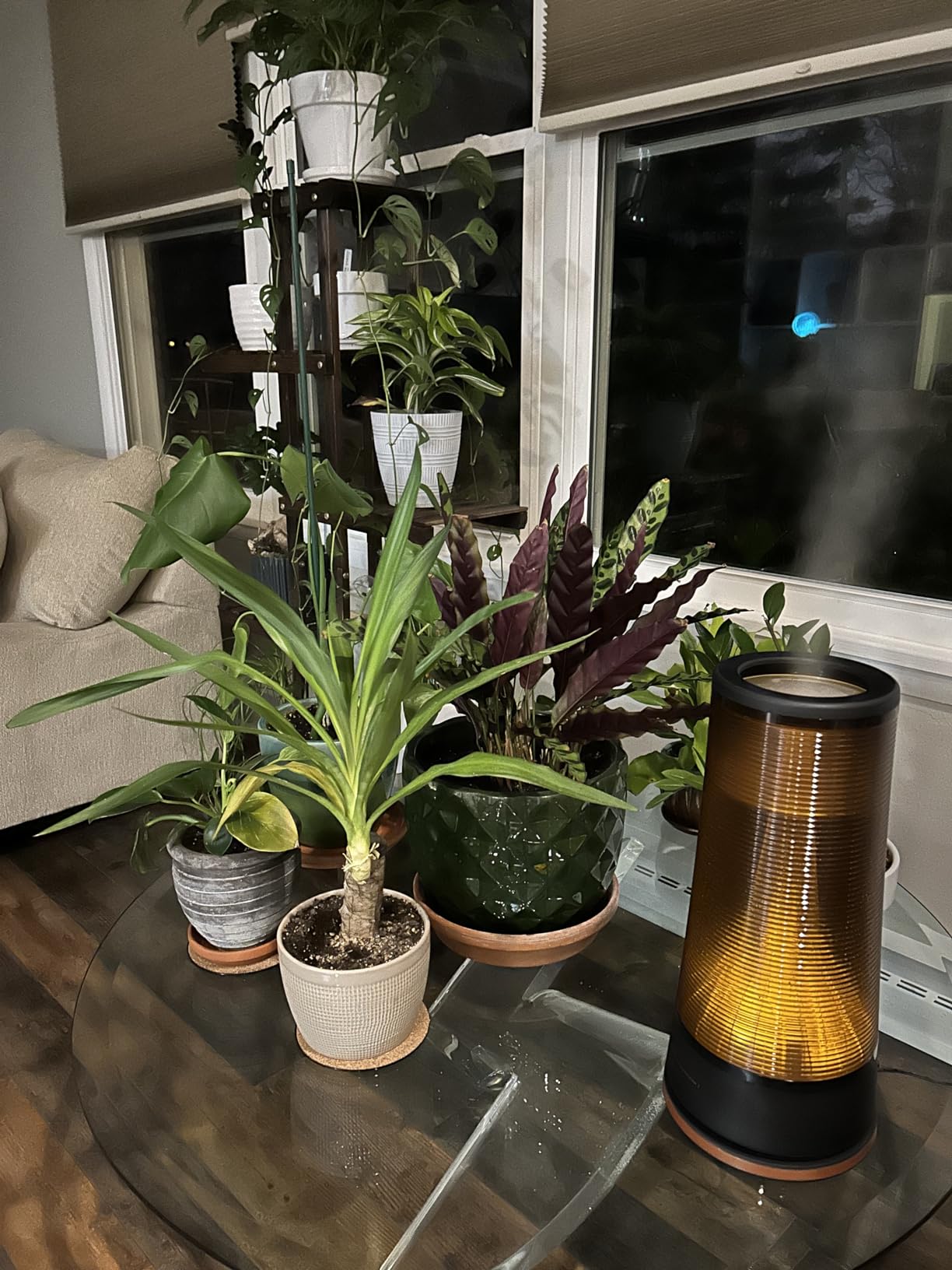 Vornado LUCERNA 3 Alchemy Ultrasonic Humidifier with Ambient Light Customer Review Vornado LUCERNA 3 Alchemy Ultrasonic Humidifier with Ambient Light - Customer Photo 2
