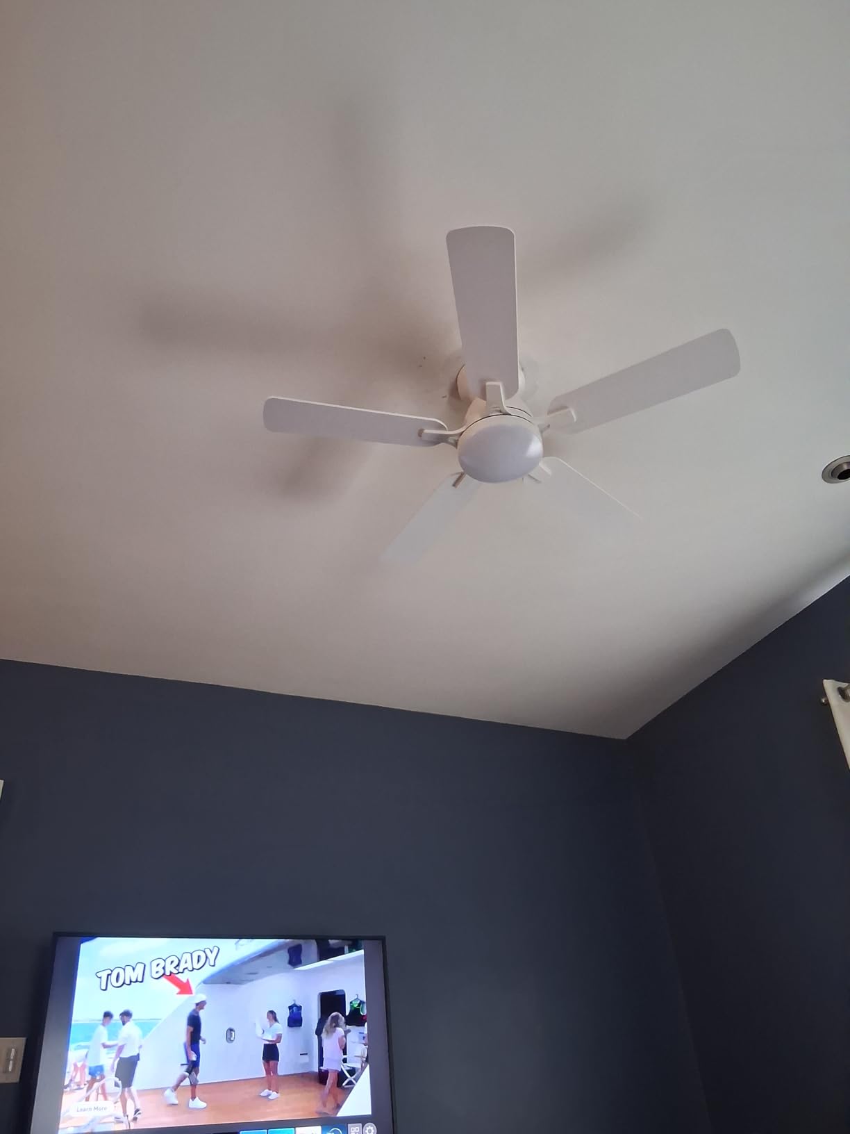 Ceiling Fans with Lights- 46