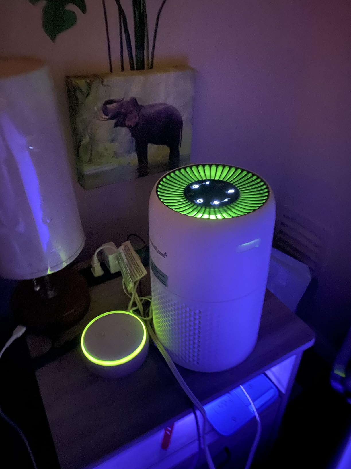AromaRoom Air Purifiers for Bedroom with True HEPA13 Filters 3-in-1, Pet Air Purifier with Aroma Pad for Wildfires Smoke Pollen Dander, 22dB Quiet Air Cleaners for Baby Room Office Dorm - Customer Photo 4
