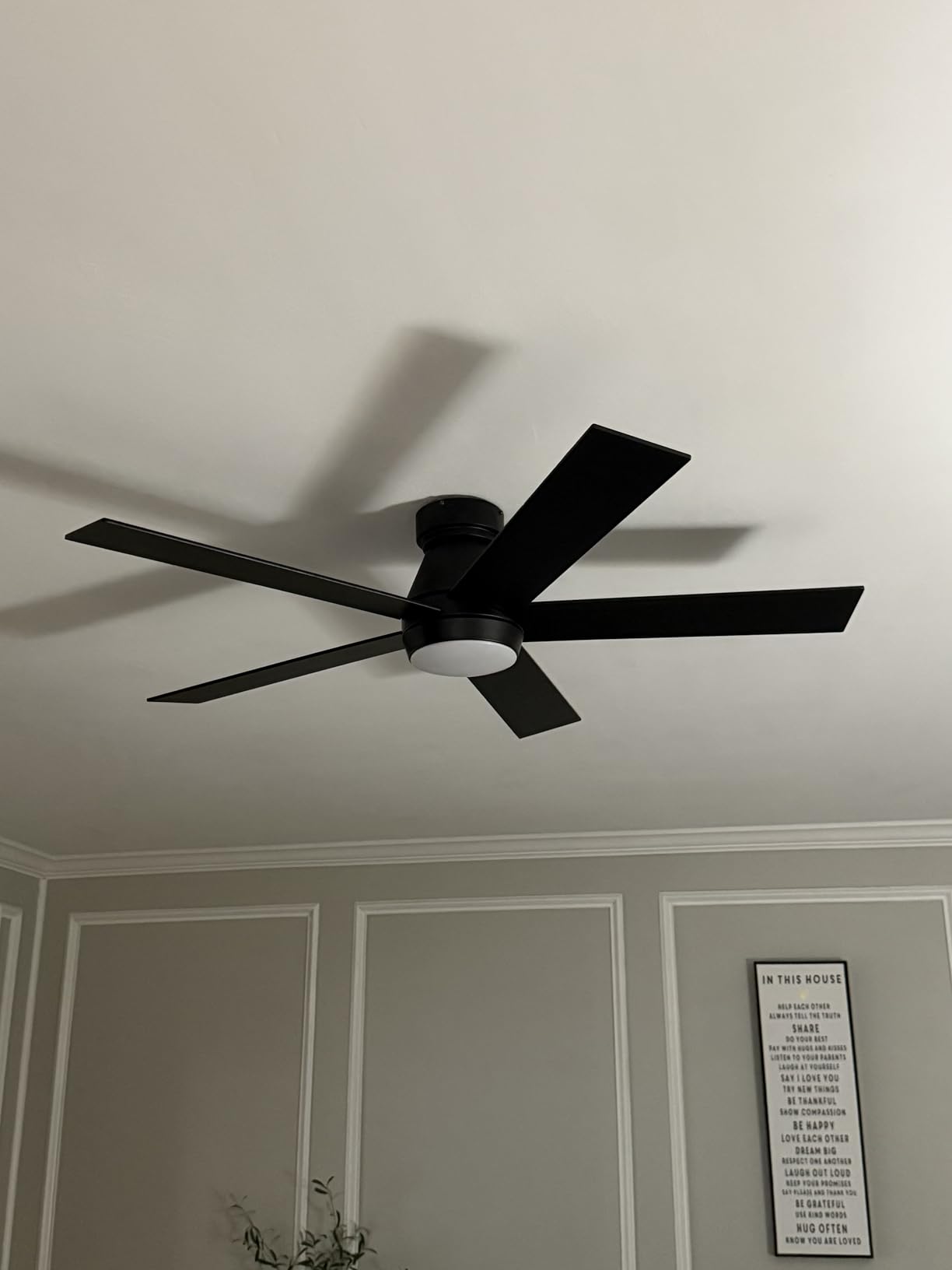 TCL 52
