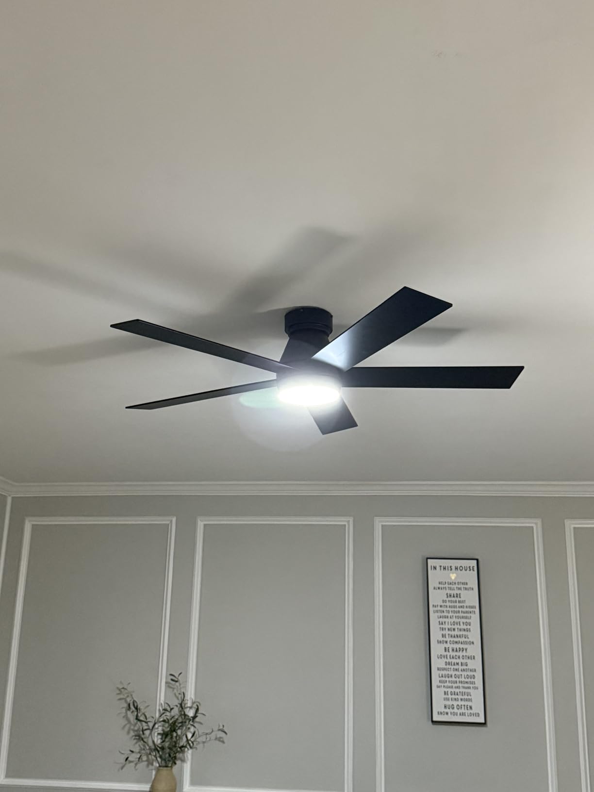 TCL 52
