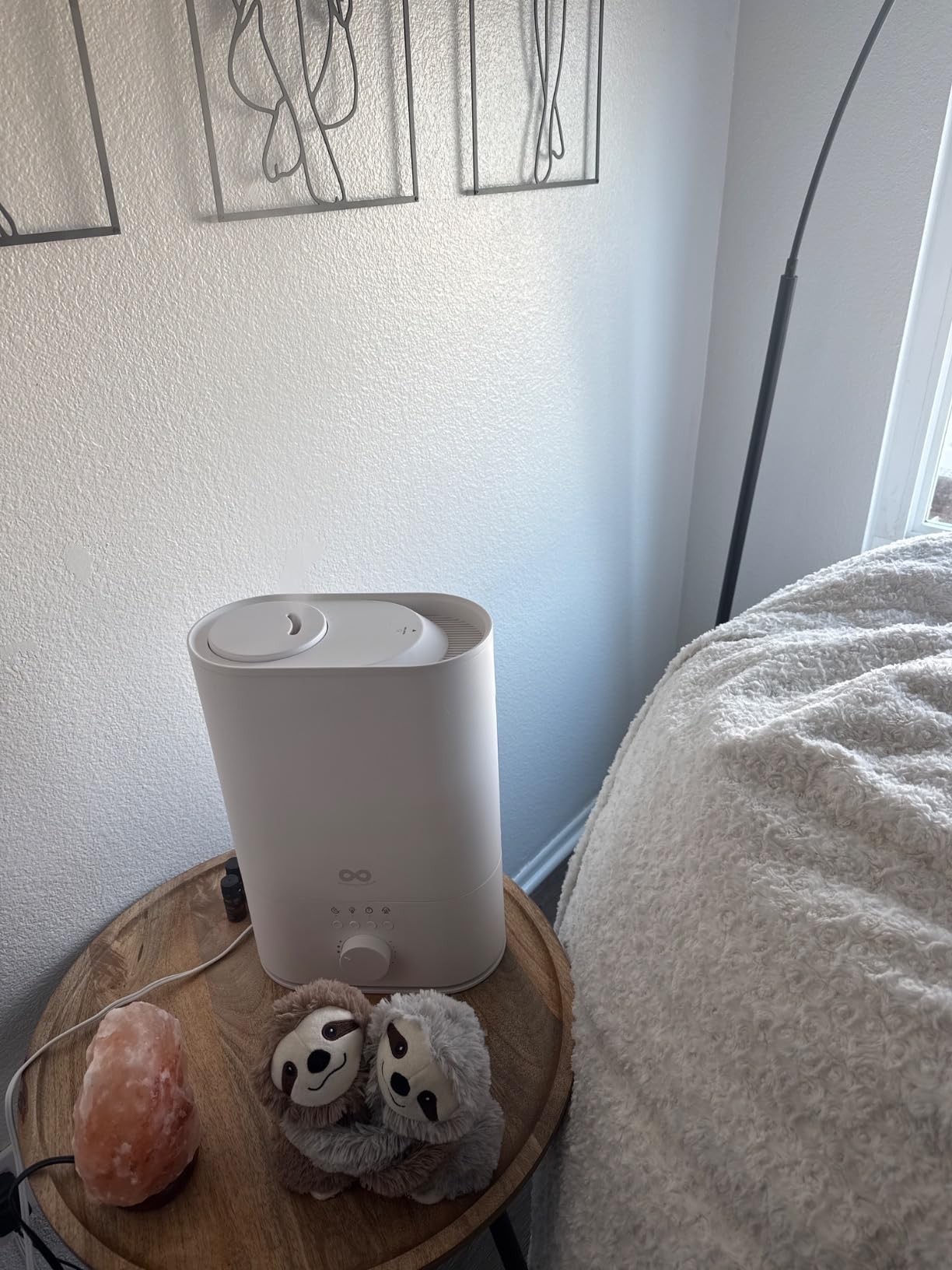 Everlasting Comfort 6L Humidifier Large Room, High Mist Output 60HR Runtime Ultrasonic Top FIll Humidifiers for Bedroom, Easy to Use & Clean for Home, Baby Humidifier, Plants, Congestion, Indoor - Customer Photo 1
