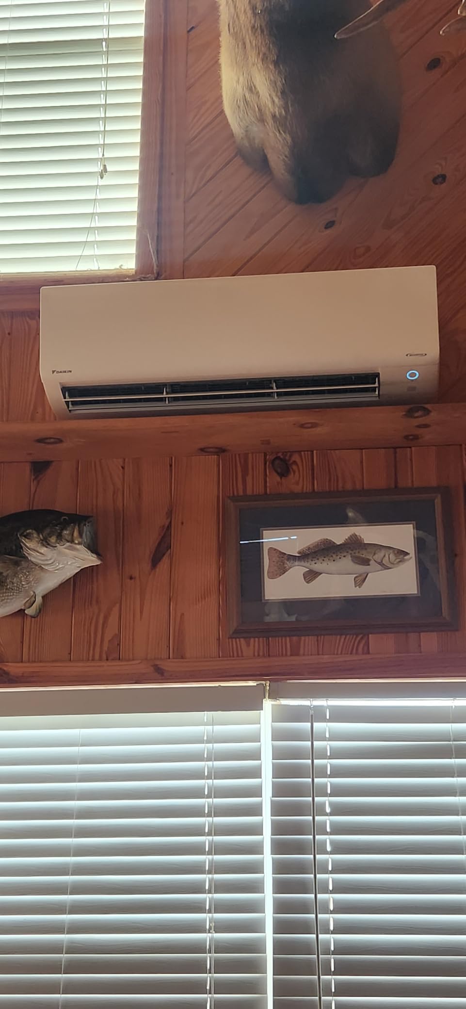 Daikin 24,000 BTU 21 SEER2 Oterra R32 Series Ductless Mini-Split Air Conditioner with Installation Kit and Wall Bracket- 230V Customer Review Daikin 24,000 BTU 21 SEER2 Oterra R32 Series Ductless Mini-Split Air Conditioner with Installation Kit and Wall Bracket- 230V - Customer Photo 1