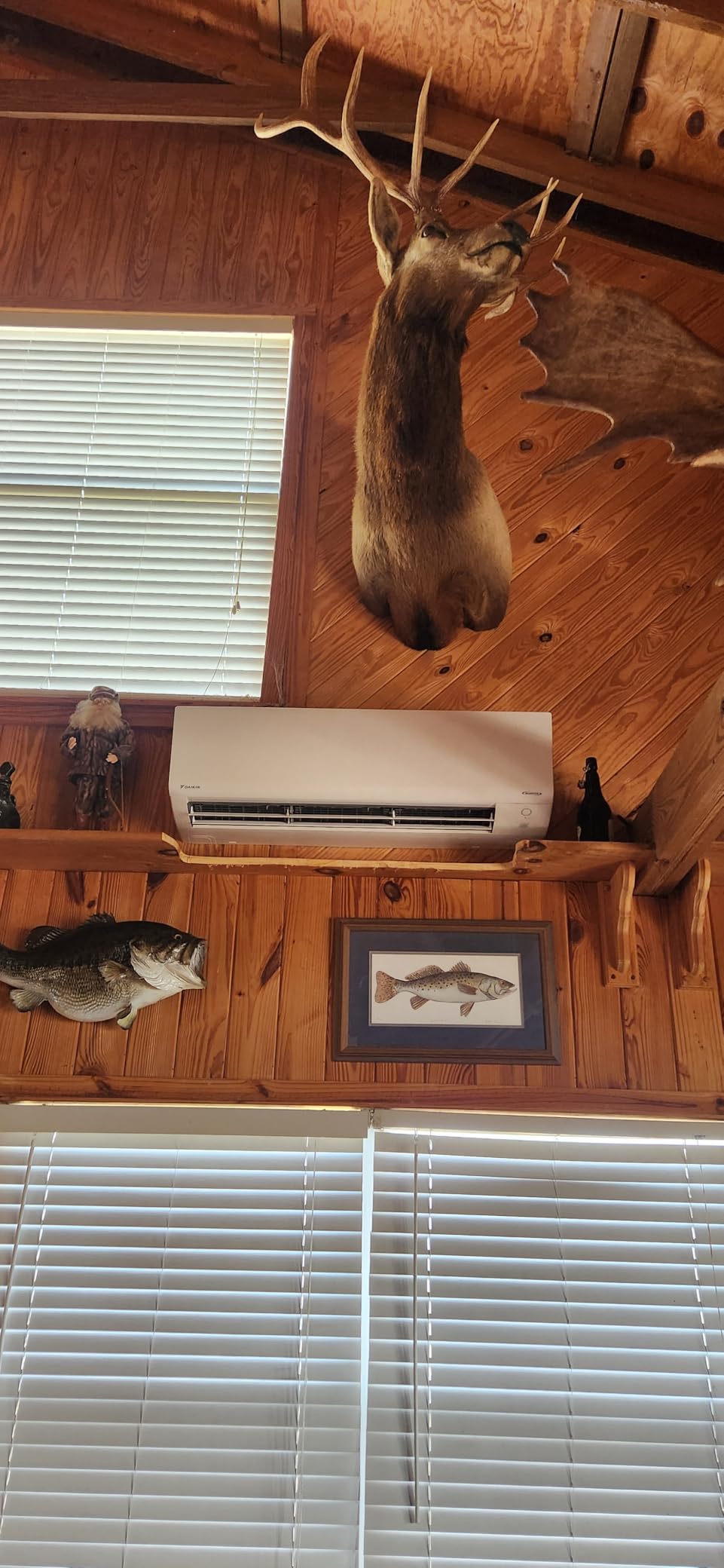 Daikin 24,000 BTU 21 SEER2 Oterra R32 Series Ductless Mini-Split Air Conditioner with Installation Kit and Wall Bracket- 230V Customer Review Daikin 24,000 BTU 21 SEER2 Oterra R32 Series Ductless Mini-Split Air Conditioner with Installation Kit and Wall Bracket- 230V - Customer Photo 2