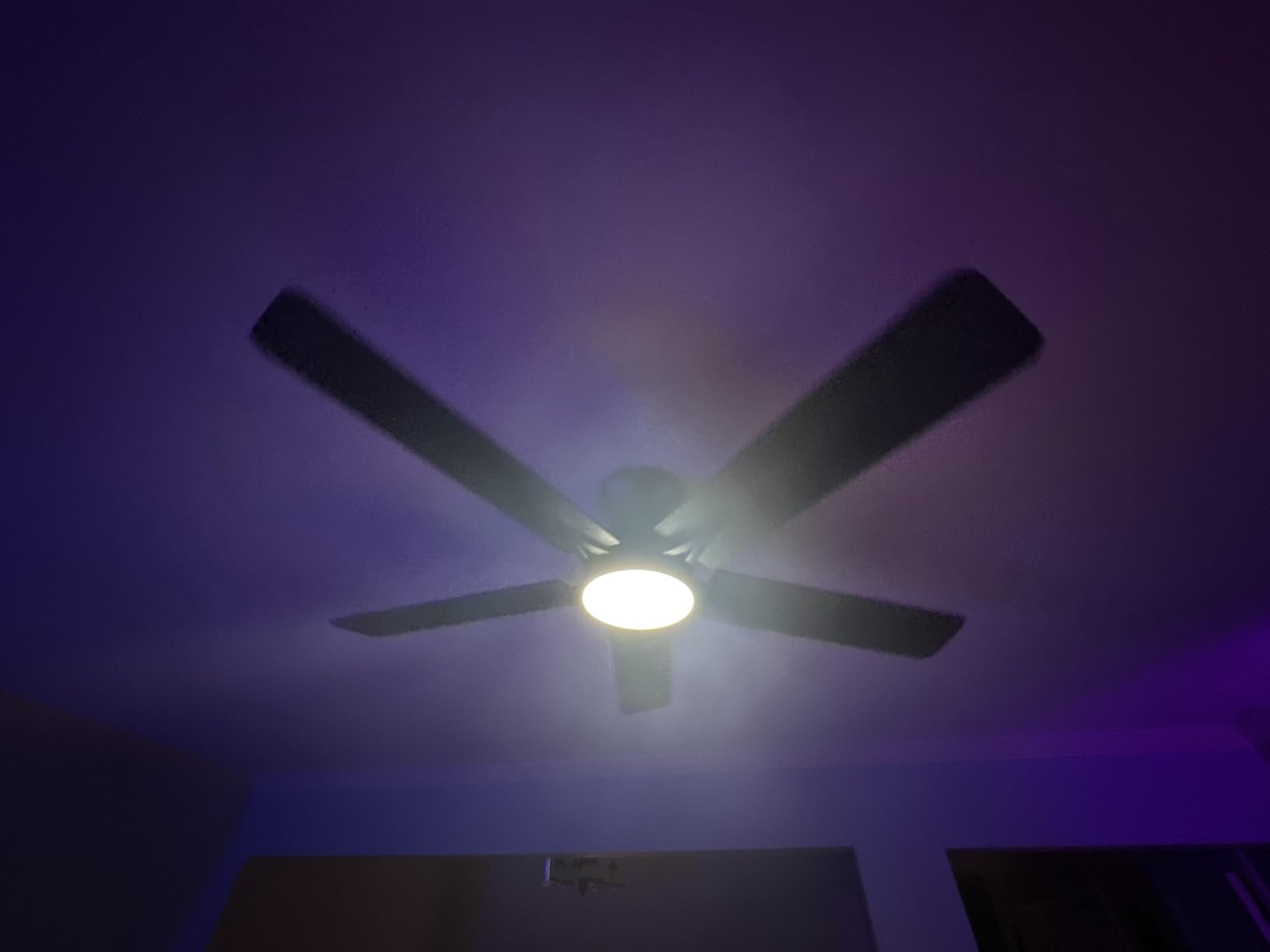 46