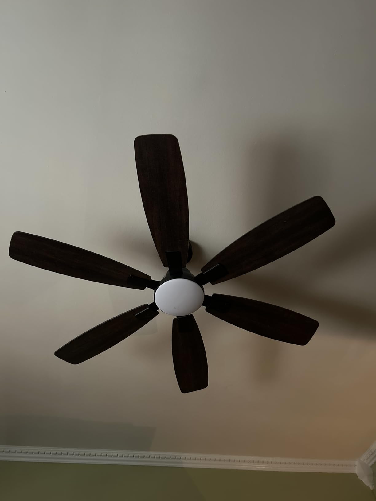 Ceiling Fans with Lights, 52 Inch Ceiling Fan with Light and Remote, 3CCT Dimmable, 6 Speed Reversible DC Motor,6 Blades Modern Black Ceiling Fan for Bedroom, Indoor/Outdoor Use Customer Review Ceiling Fans with Lights, 52 Inch Ceiling Fan with Light and Remote, 3CCT Dimmable, 6 Speed Reversible DC Motor,6 Blades Modern Black Ceiling Fan for Bedroom, Indoor/Outdoor Use - Customer Photo 1