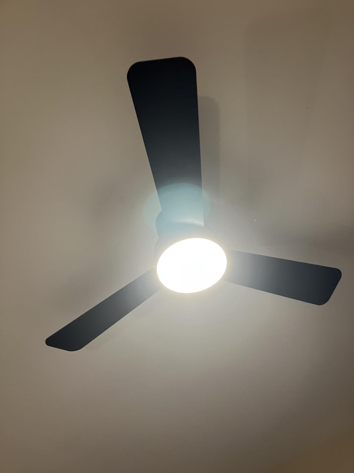 Ceiling Fans with Lights, 42 Inch Low Profile Ceiling Fan with Light and Remote Control, Reversible, LED Dimmable for Bedroom Living Room Indoor/Outdoor Patio Use - Customer Photo 2