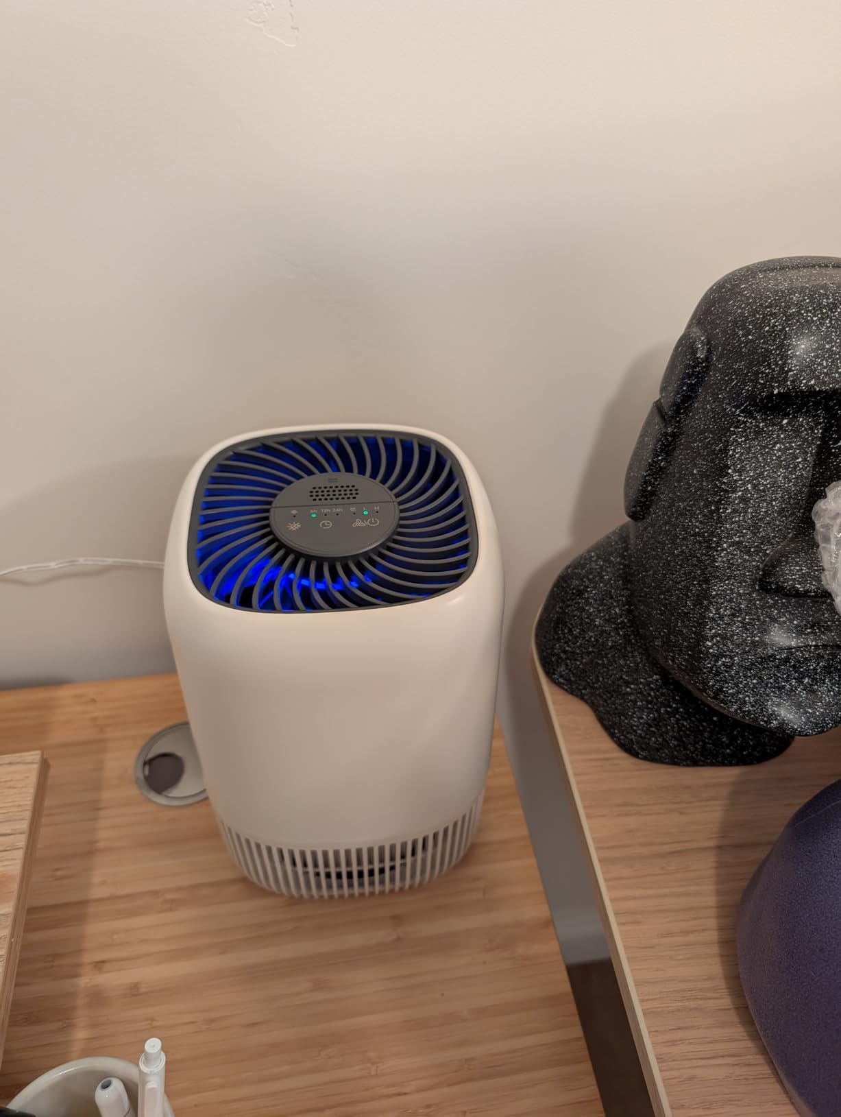Air Purifiers for Home with H13 True HEPA Filter Up to 1076 Ft² for Pet Hair, Odors, Pollen, Smoke, Compact Air Cleaner with 3 Speeds, Timer, Aroma Quiet 360°Intake Filter, White - Customer Photo 2