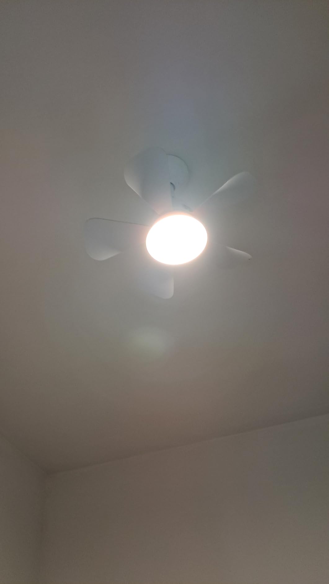 Ceiling Fans with Lights and Remote, Quiet Ceiling Fans with 5 Blades, 3 Color LED Dimmable, Low Profile Ceiling Fan with Light for Bedroom, Garage, Kitchen, Living Room, Patio - Customer Photo 2