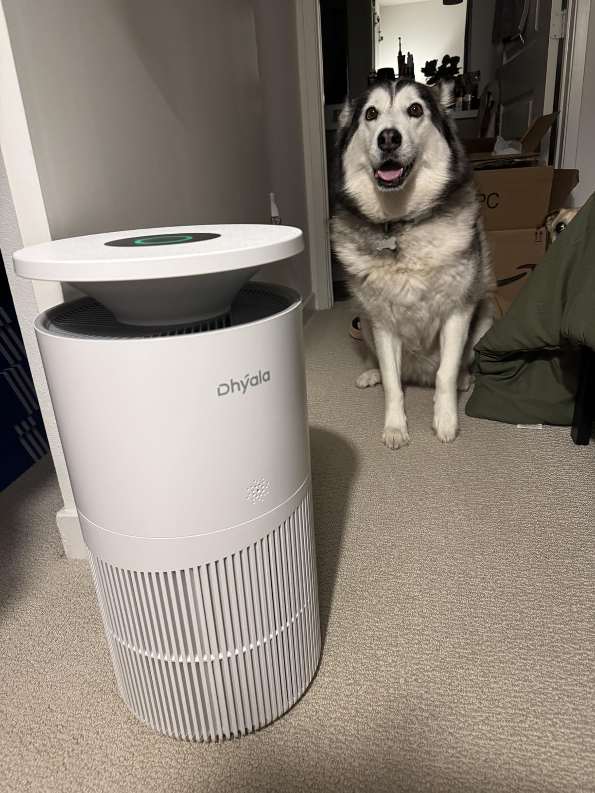 Air Purifier for Home Large Room up to 3620Ft², H13 True HEPA Air Purifiers for Home Pet Hair Dander Odor Pollen, Air Cleaner with Smart WiFi, 360° Air Intake, Auto Mode, Pet Lock, 22dB Quiet Customer Review Air Purifier for Home Large Room up to 3620Ft², H13 True HEPA Air Purifiers for Home Pet Hair Dander Odor Pollen, Air Cleaner with Smart WiFi, 360° Air Intake, Auto Mode, Pet Lock, 22dB Quiet - Customer Photo 2