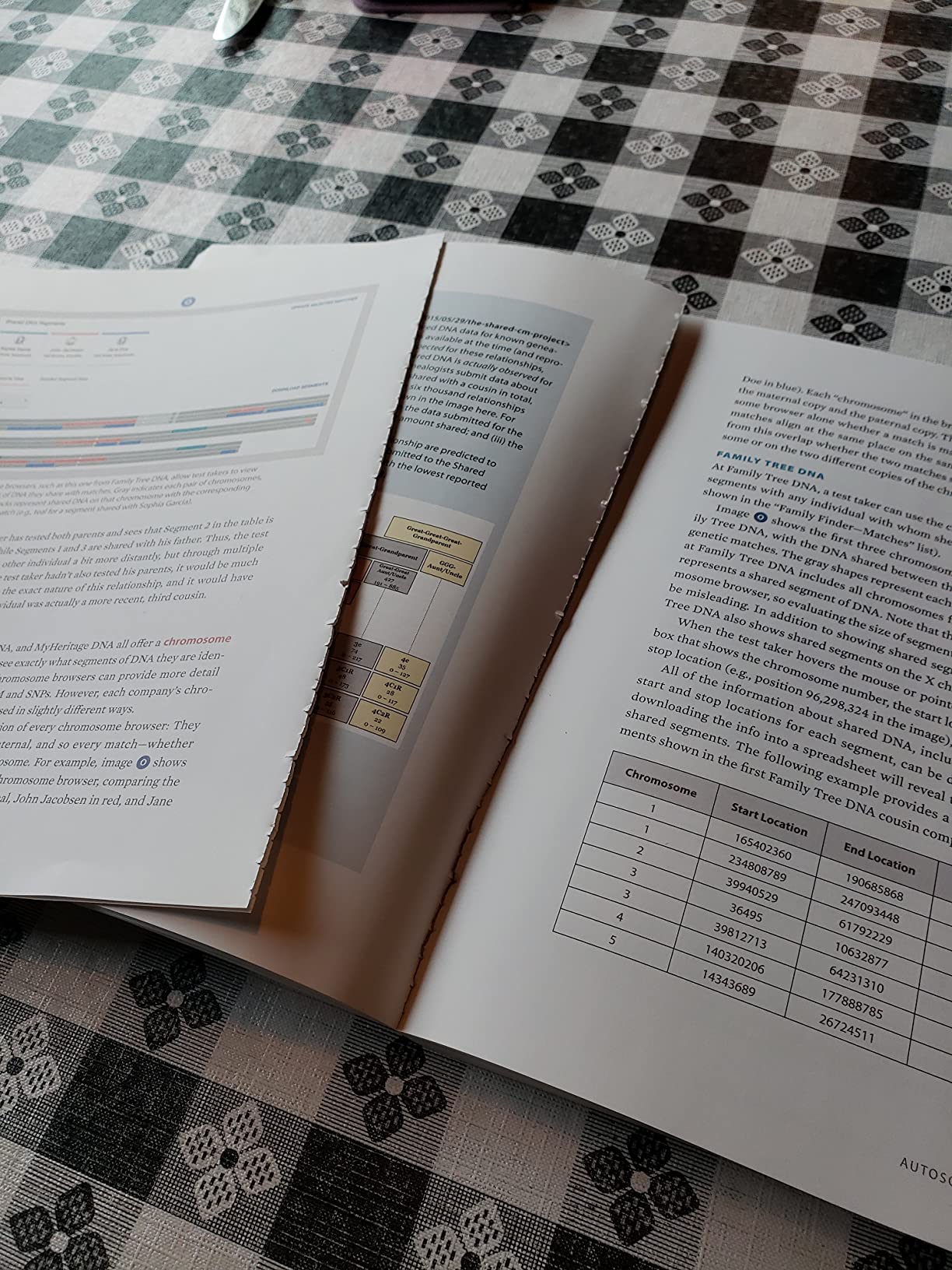 The Family Tree Guide to DNA Testing and Genetic Genealogy - Customer Photo 1