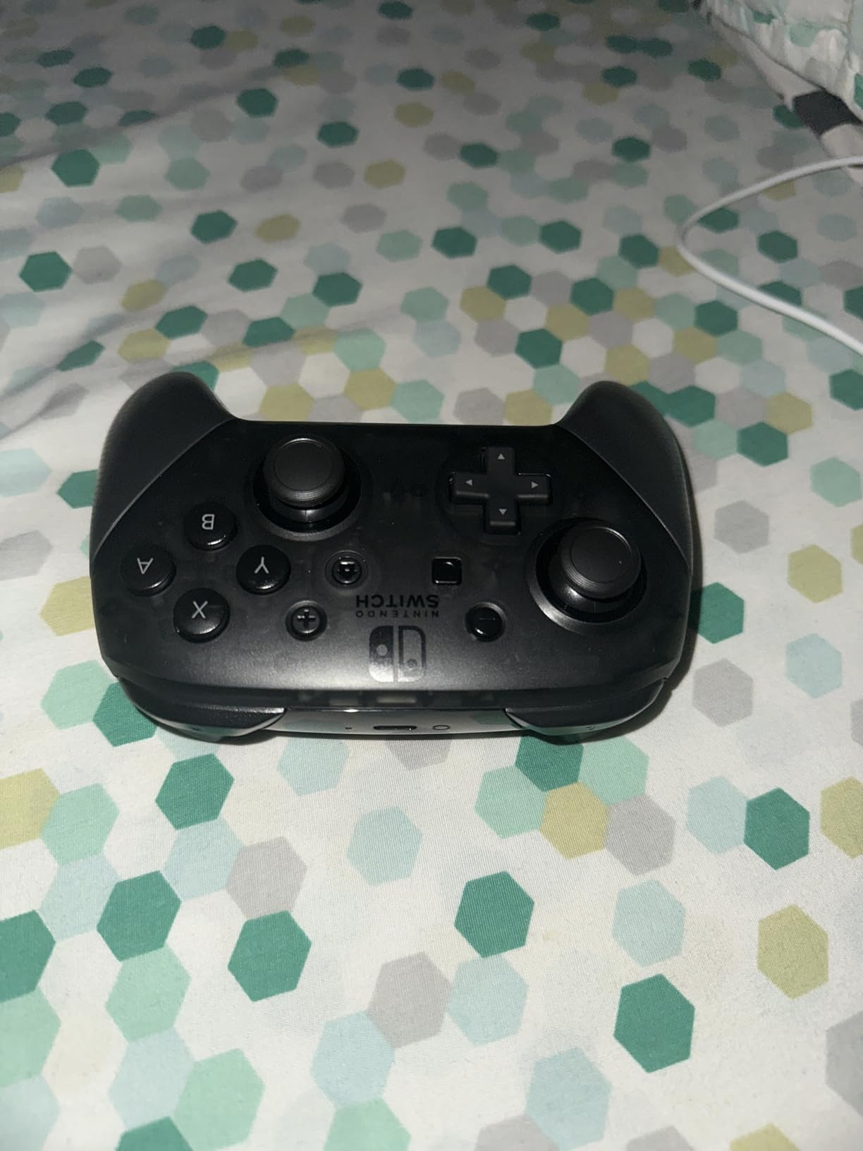 Nintendo Switch Pro Controller Customer Review Nintendo Switch Pro Controller - Customer Photo 1